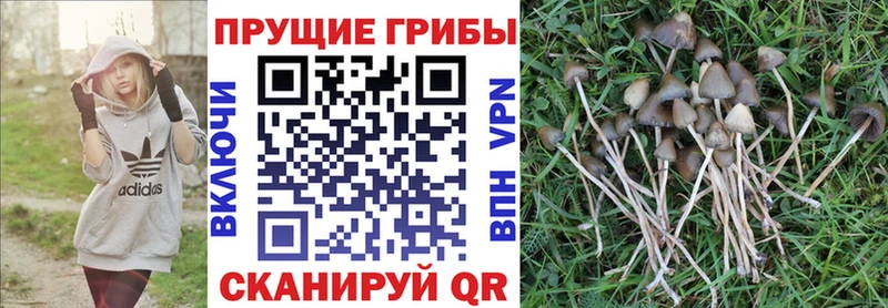 Псилоцибиновые грибы MAGIC MUSHROOMS  Светогорск 
