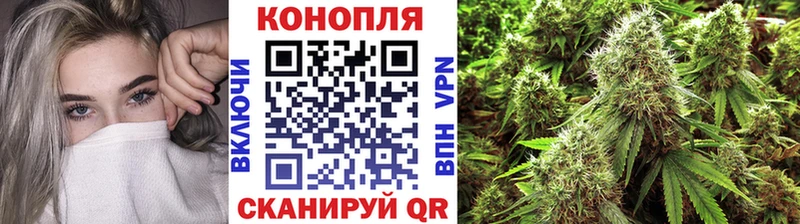 Каннабис семена  цены наркотик  Светогорск 